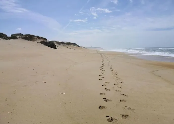 Marnix's Апартаменты